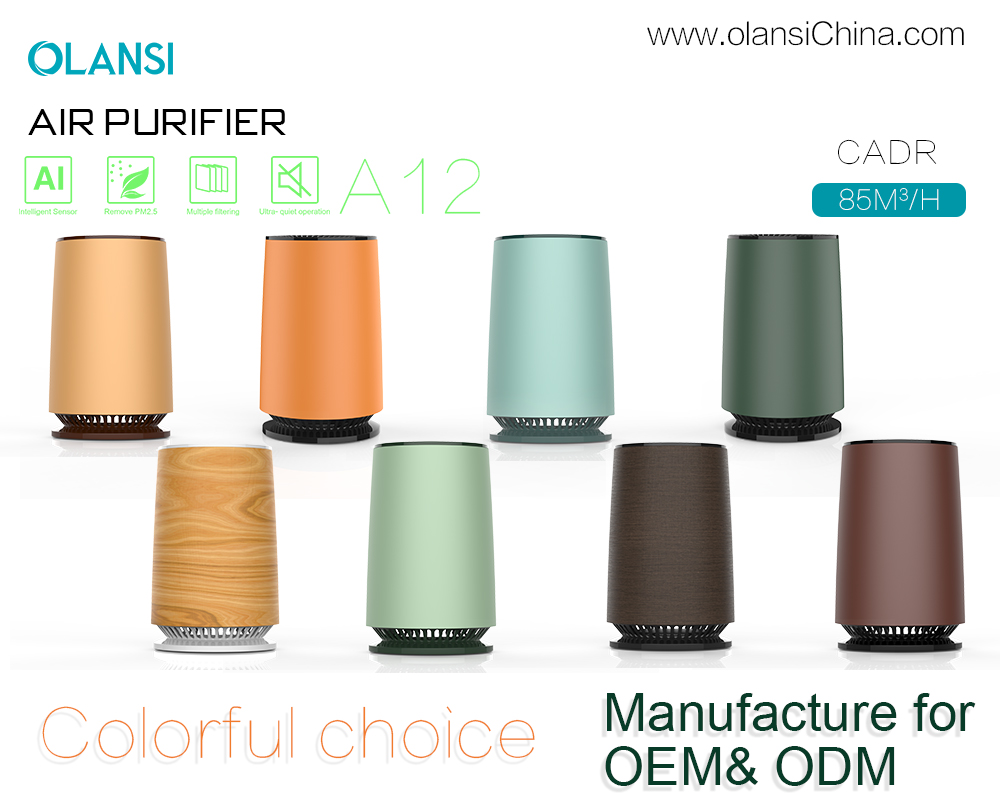 Fournisseurs de purificateurs d'air Olansi (15)