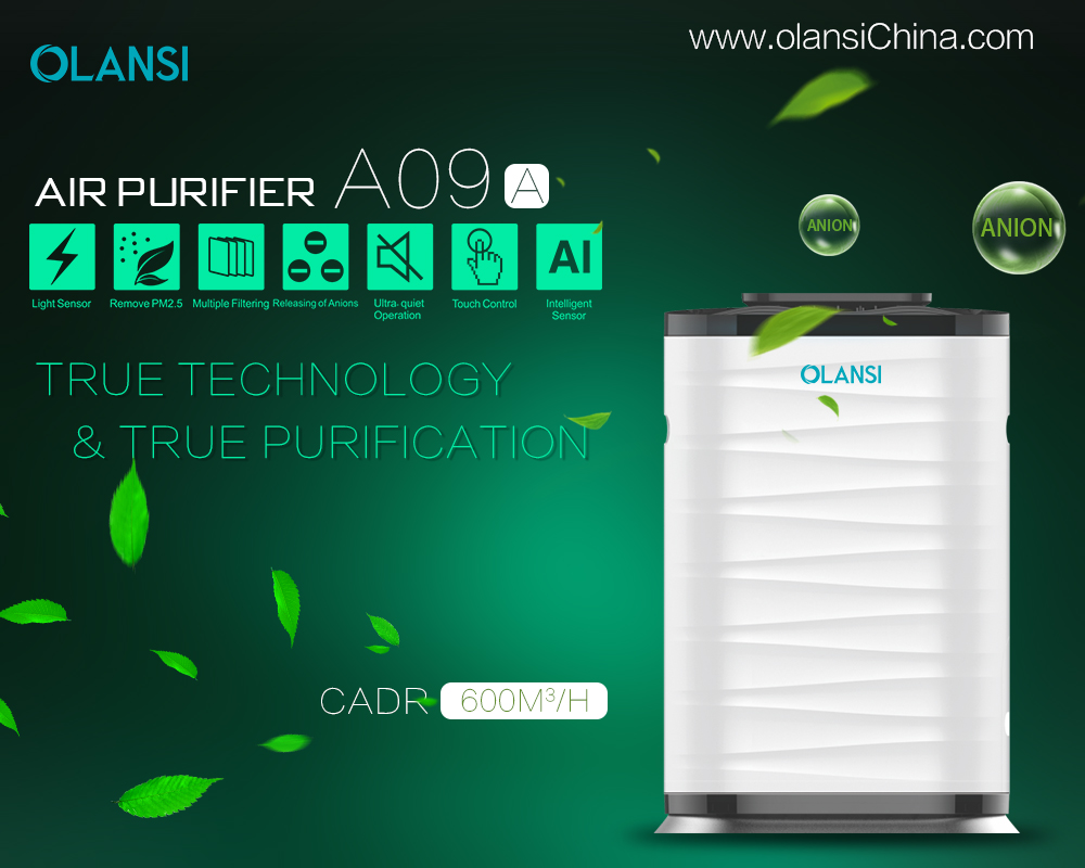 Chine Fabricant de purificateur d'air Olansi (65)