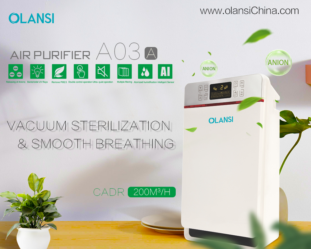 Chine Fabricant de purificateur d'air Olansi (28)