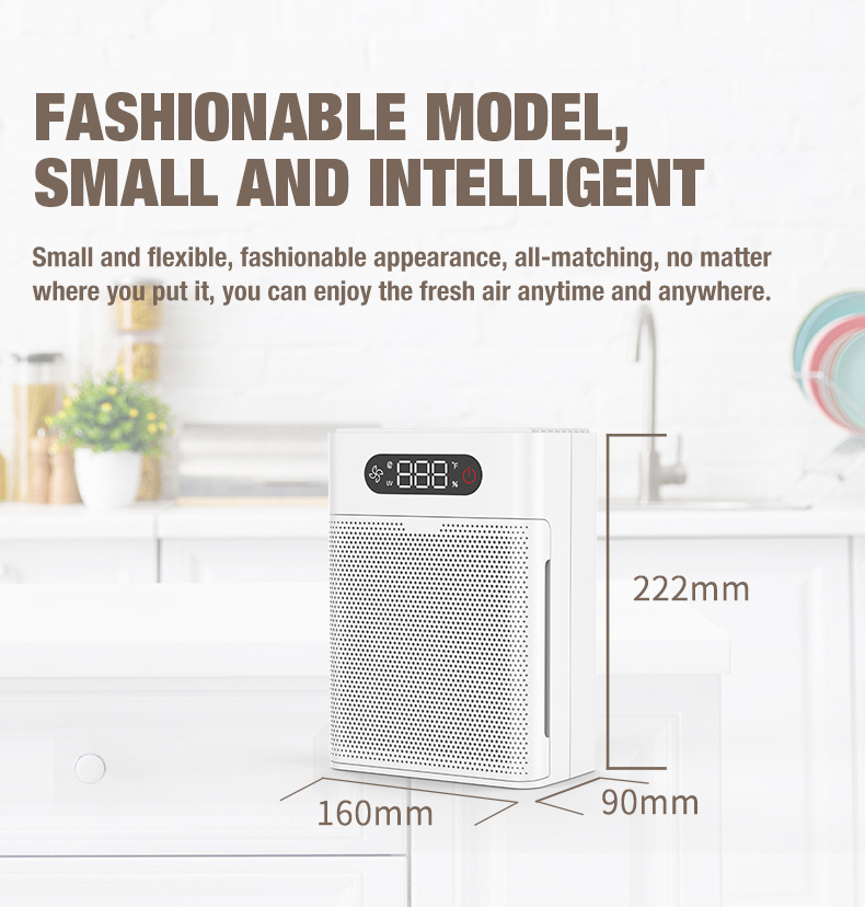 Fournisseur de purificateur d'air Olansi A1 (3)