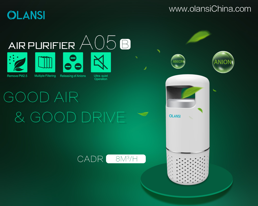 Chine Fabricant de purificateur d'air Olansi (44)