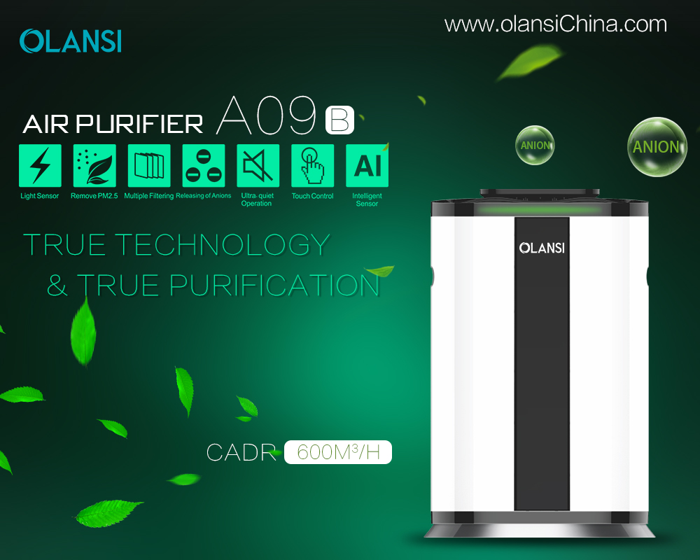 Chine Fabricant de purificateur d'air Olansi (68)