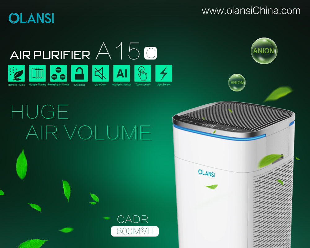 Fabricant de purificateur d'air de Chine Olansi (80)
