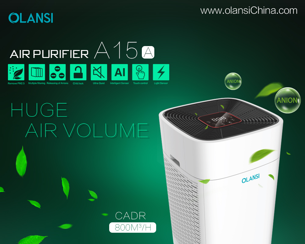 Chine Fabricant de purificateur d'air Olansi (74)