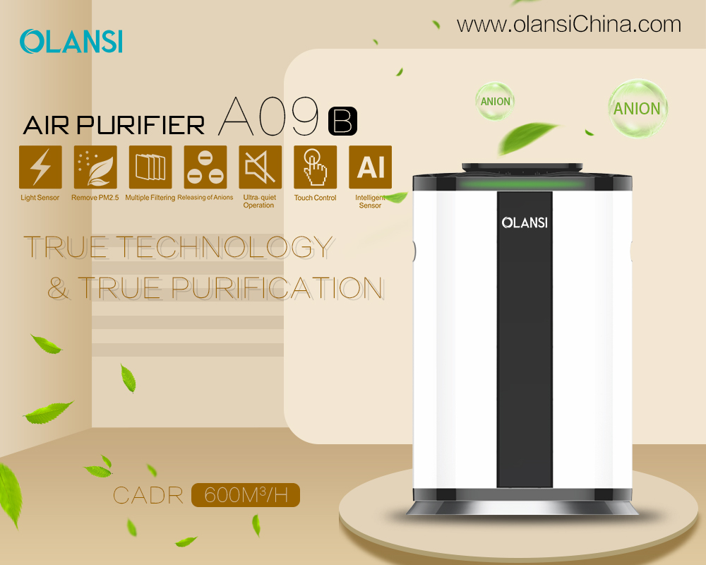Chine Fabricant de purificateur d'air d'Olansi (69)