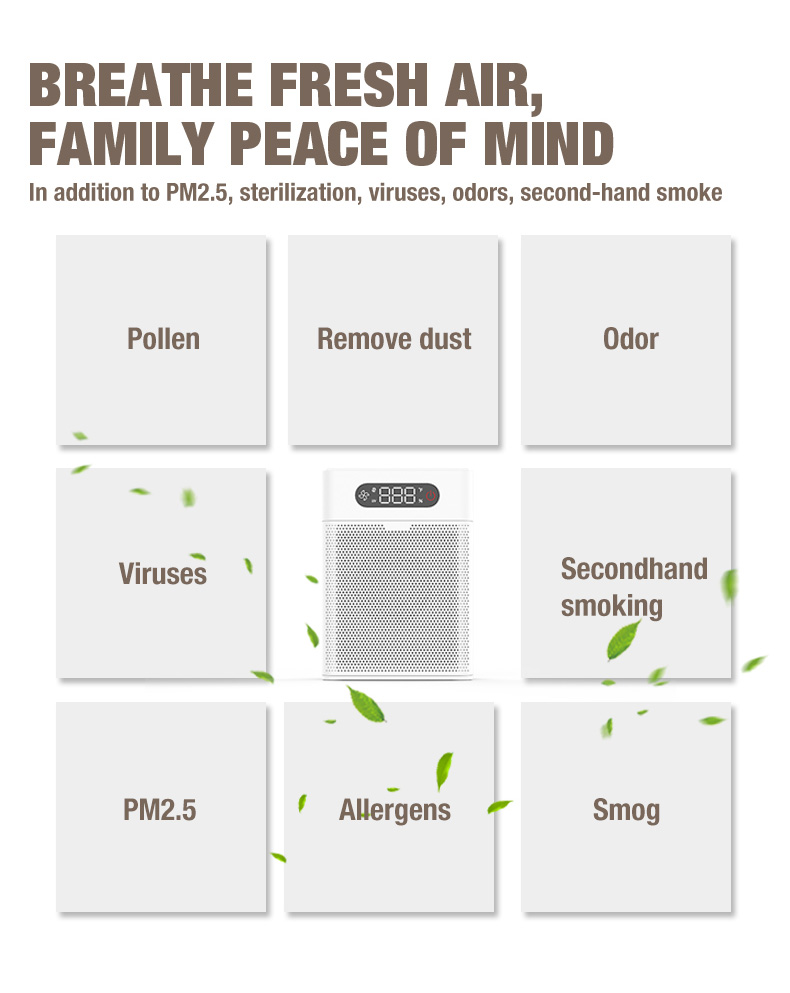 Fournisseur de purificateur d'air Olansi A1 (6)